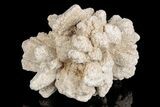 Radiating, Sand Celestine (Celestite) Crystals - Kazakhstan #193412-1